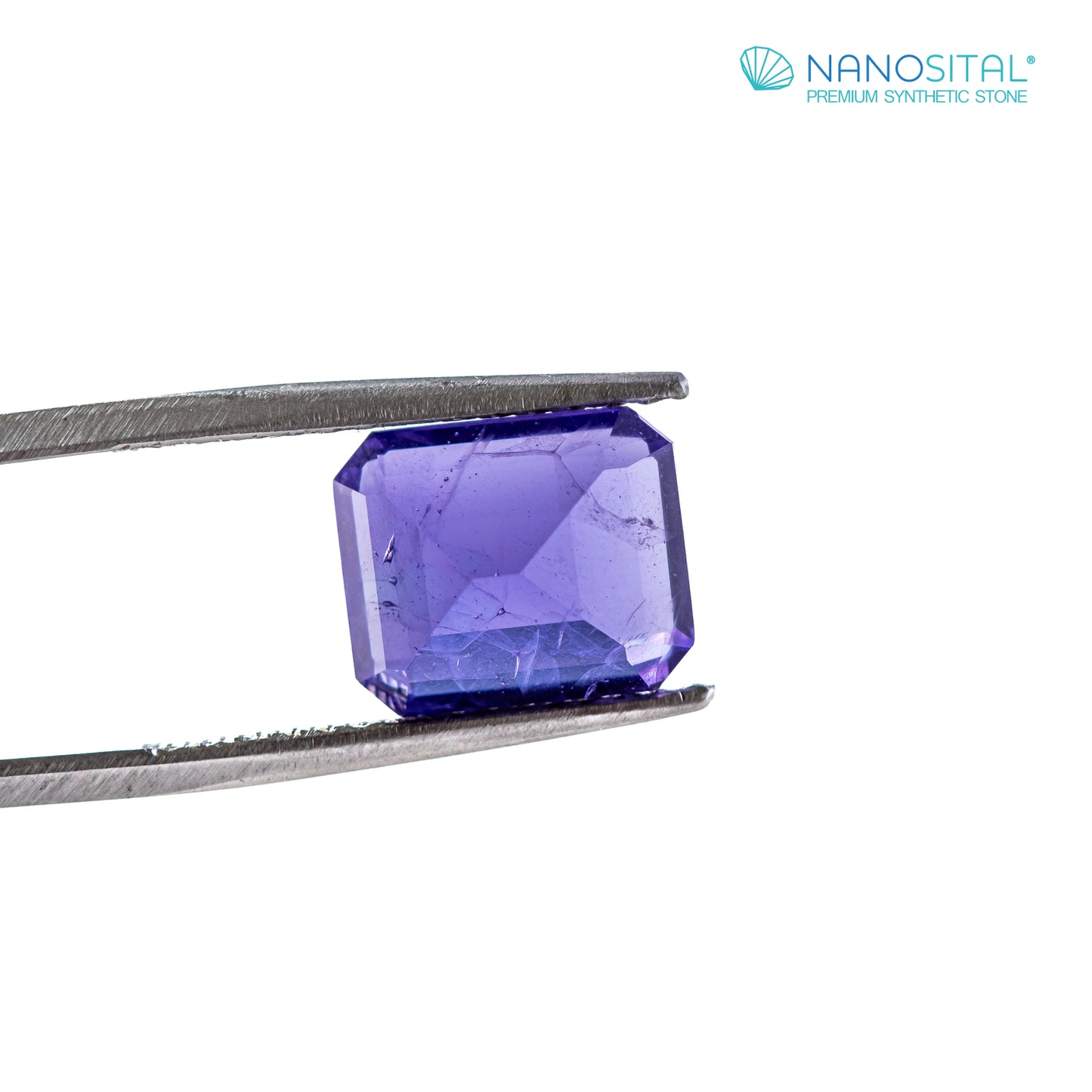Nanosital #Z-124 Tanzanite with inclusions Octagon 12*10 mm