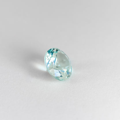 Nanosital #24 Mint Round 10 mm , 8 mm