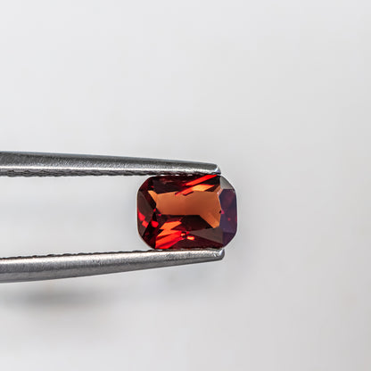 Nanosital #E-120, #A-657 Garnet Octagon 8*6 mm