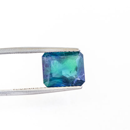 Nanosital #Z-22+Z-597 Dark Blue-green Mélange Octagon 12*10 mm, 8*6 mm