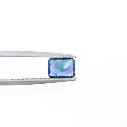 Nanosital #Z-22+Z-597 Dark Blue-green Mélange Octagon 12*10 mm, 8*6 mm