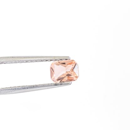 Nanosital #777 Champagne Octagon 12*10 mm, 8*6 mm