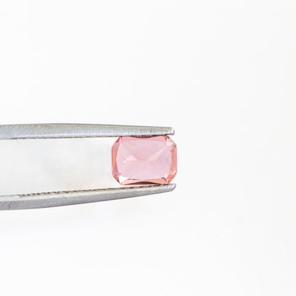 Nanosital #A-1076 Salmon Octagon 12*10 mm, 8*6 mm