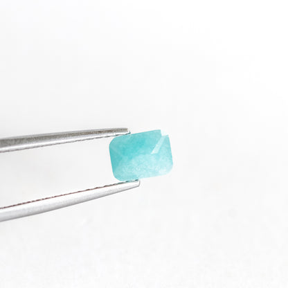 Nanosital #Z-108/5 Paraiba heavy Included Octagon 8*6 mm