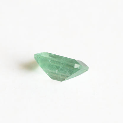 Nanosital #Z-6930 Light Green Beryl with inclusions Octagon 10*8 mm