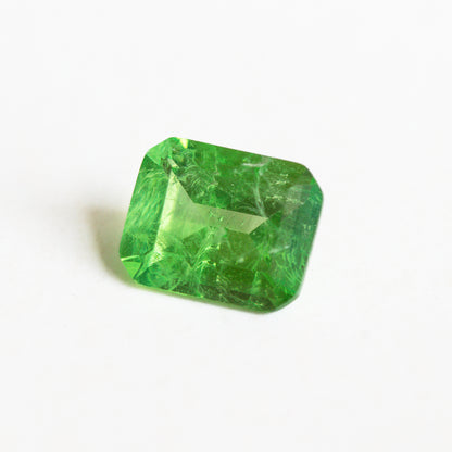 Nanosital #Z-3855 Light Tsavorite with inclusions Octagon 10*8 mm