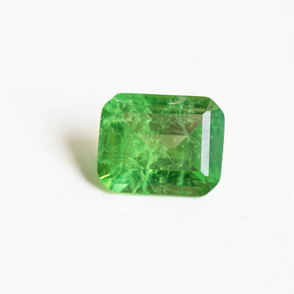 Nanosital #Z-3855 Light Tsavorite with inclusions Octagon 10*8 mm