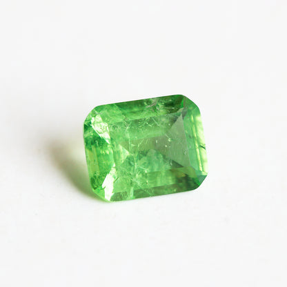 Nanosital #Z-3855 Light Tsavorite with inclusions Octagon 10*8 mm