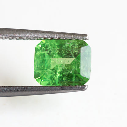 Nanosital #Z-3855 Light Tsavorite with inclusions Octagon 10*8 mm