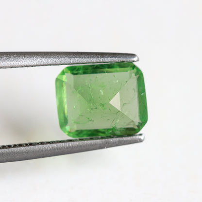 Nanosital #Z-3855 Light Tsavorite with inclusions Octagon 10*8 mm