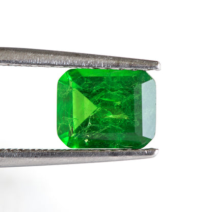 Nanosital #Z-1713 Tsavorite with inclusions Octagon 10*8 mm