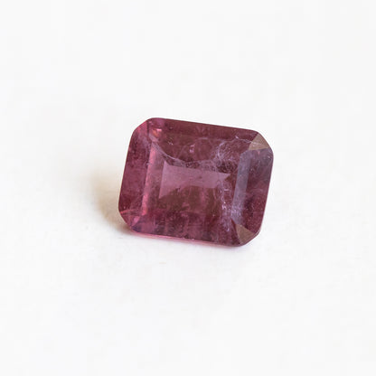 Nanosital #Z-2456 Marsala with inclusions Octagon 10*8 mm