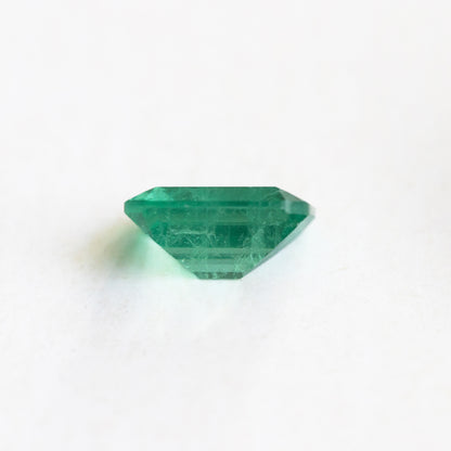 Nanosital #Z-5913 Light Emerald with inclusions Octagon 10*8 mm