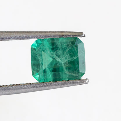 Nanosital #Z-5913 Light Emerald with inclusions Octagon 10*8 mm