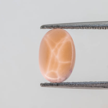 Nanosital #A-8544  Cat's eye Orange Oval Cab 14*10 mm