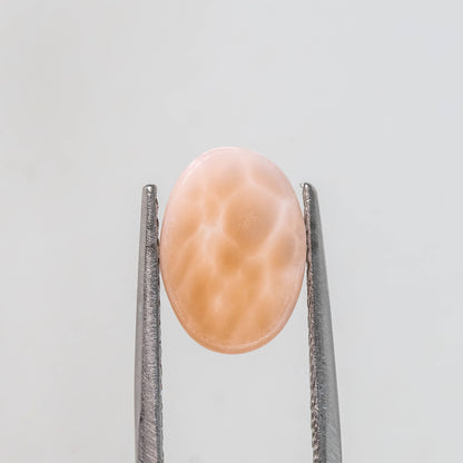Nanosital #A-8544  Cat's eye Orange Oval Cab 14*10 mm